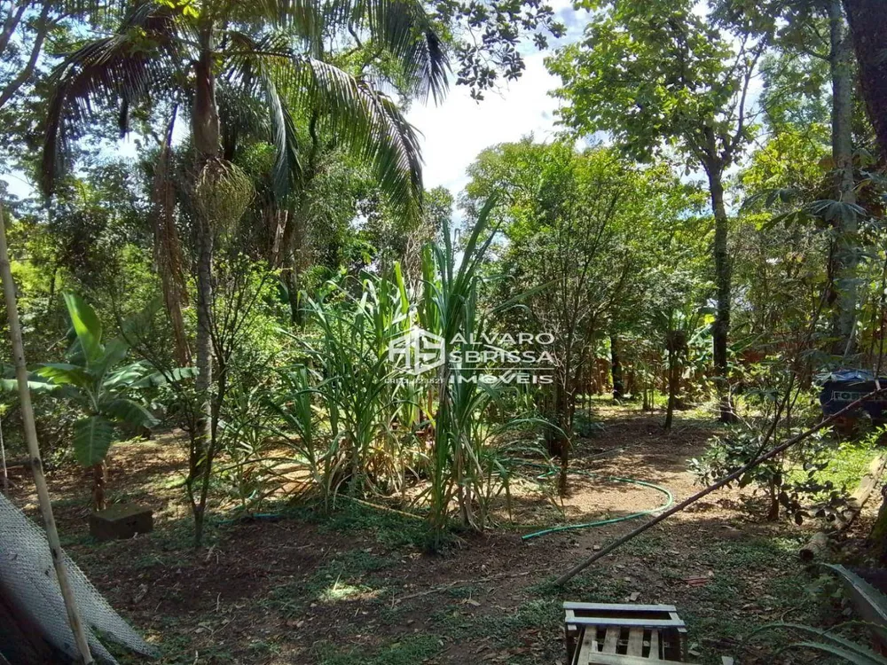 Chácara, 2 quartos, 2000 m² - Foto 2