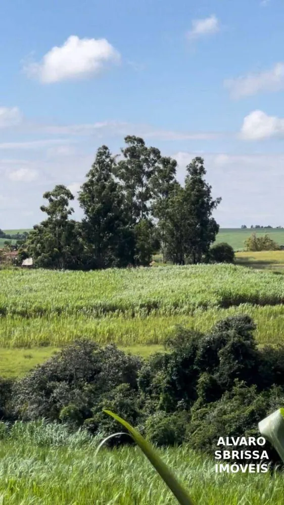 Terreno, 5 hectares - Foto 7