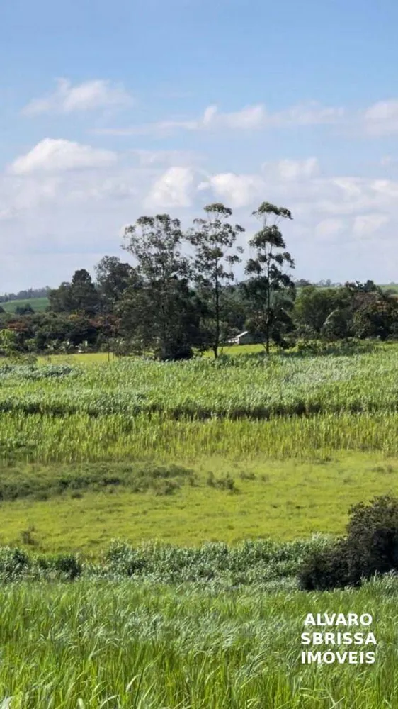 Terreno, 5 hectares - Foto 6