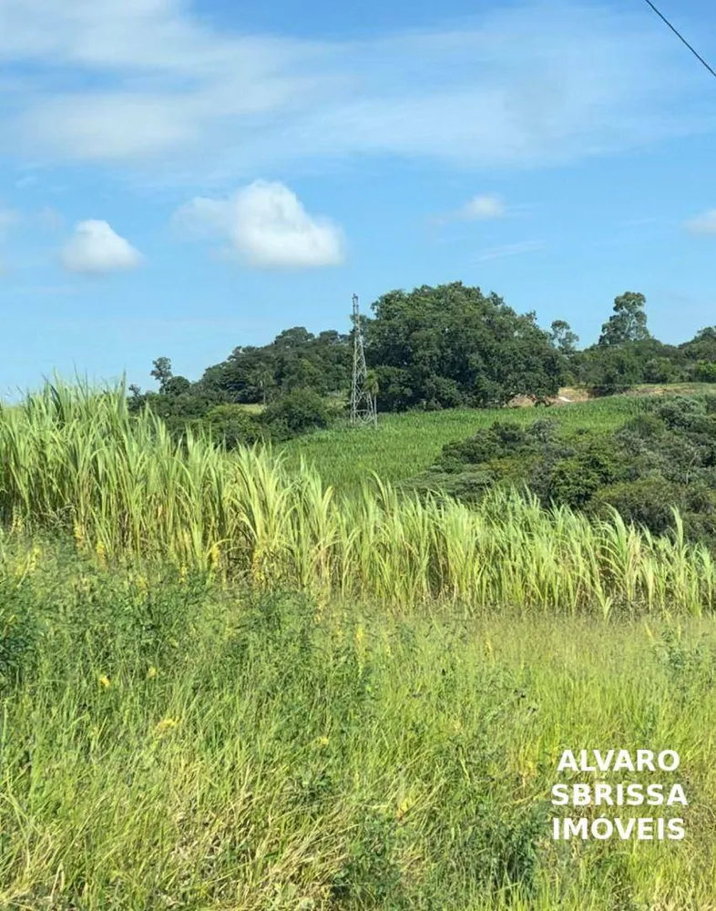 Terreno, 5 hectares - Foto 2