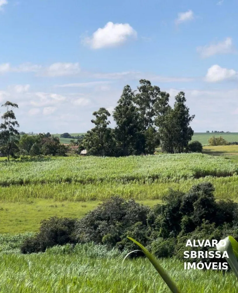 Terreno, 5 hectares - Foto 4
