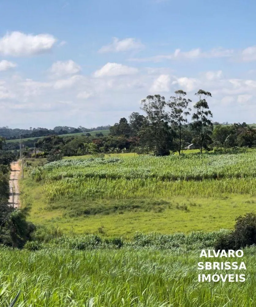 Terreno, 5 hectares - Foto 3