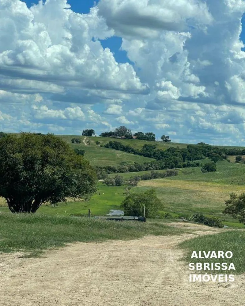 Fazenda, 97 hectares - Foto 3