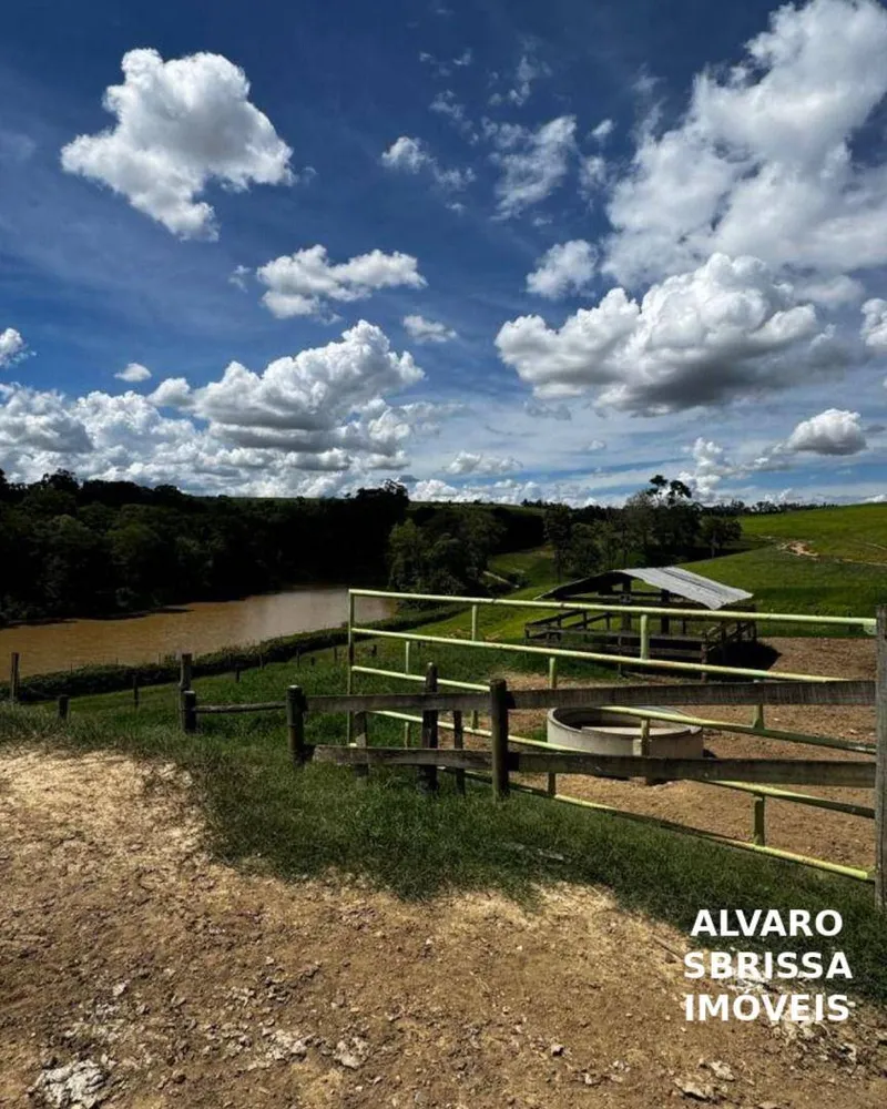 Fazenda, 97 hectares - Foto 9