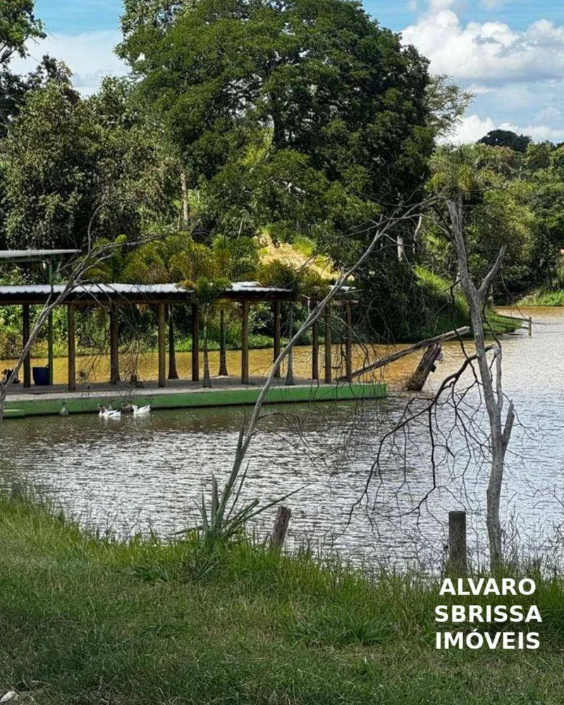 Fazenda, 97 hectares - Foto 3