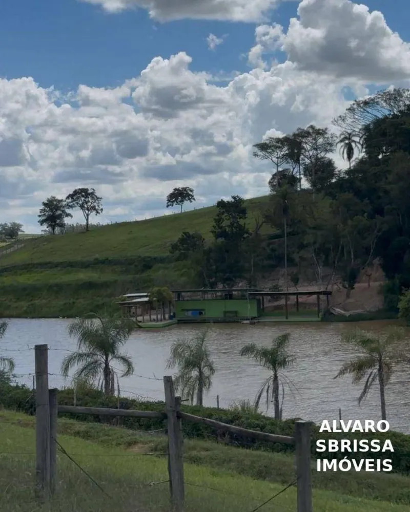 Fazenda, 97 hectares - Foto 7