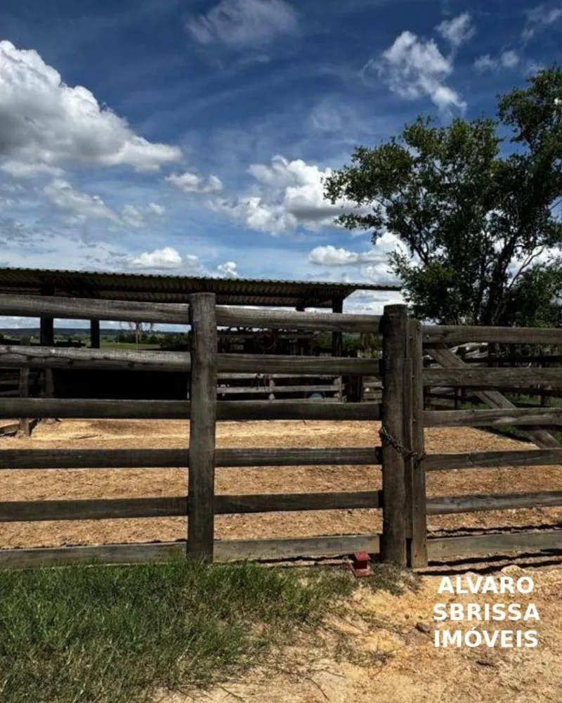 Fazenda, 97 hectares - Foto 4