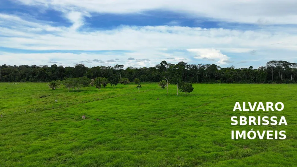 Fazenda, 1888 hectares - Foto 4
