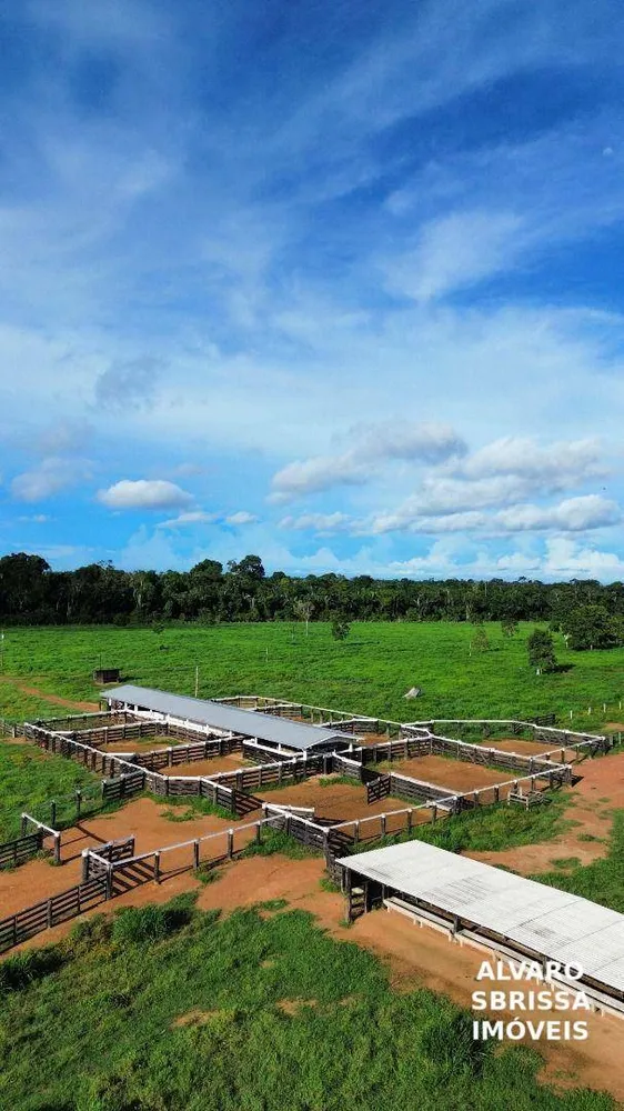 Fazenda, 1888 hectares - Foto 7