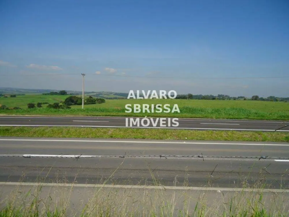 Terreno, 25 hectares - Foto 4