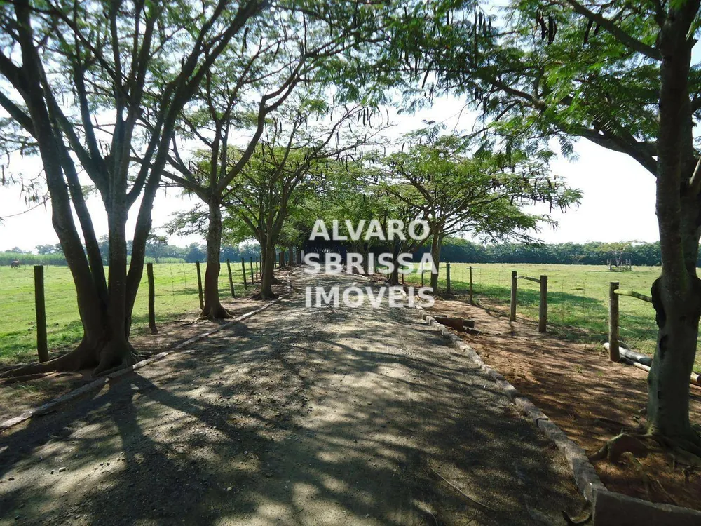 Terreno, 25 hectares - Foto 10