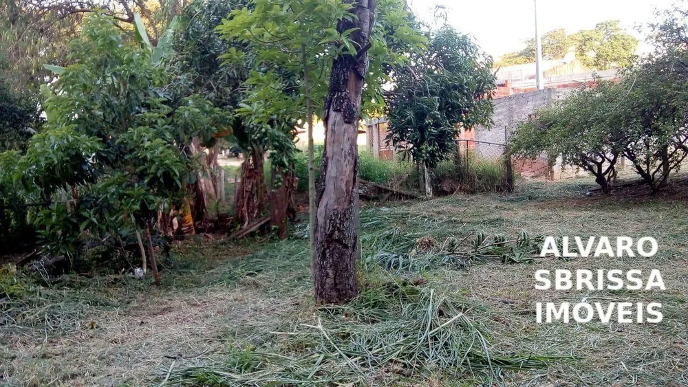 Terreno, 5199 m² - Foto 5