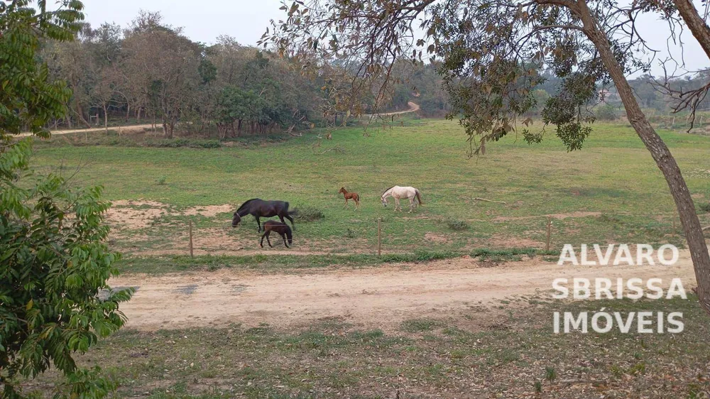 Fazenda, 7 hectares - Foto 2