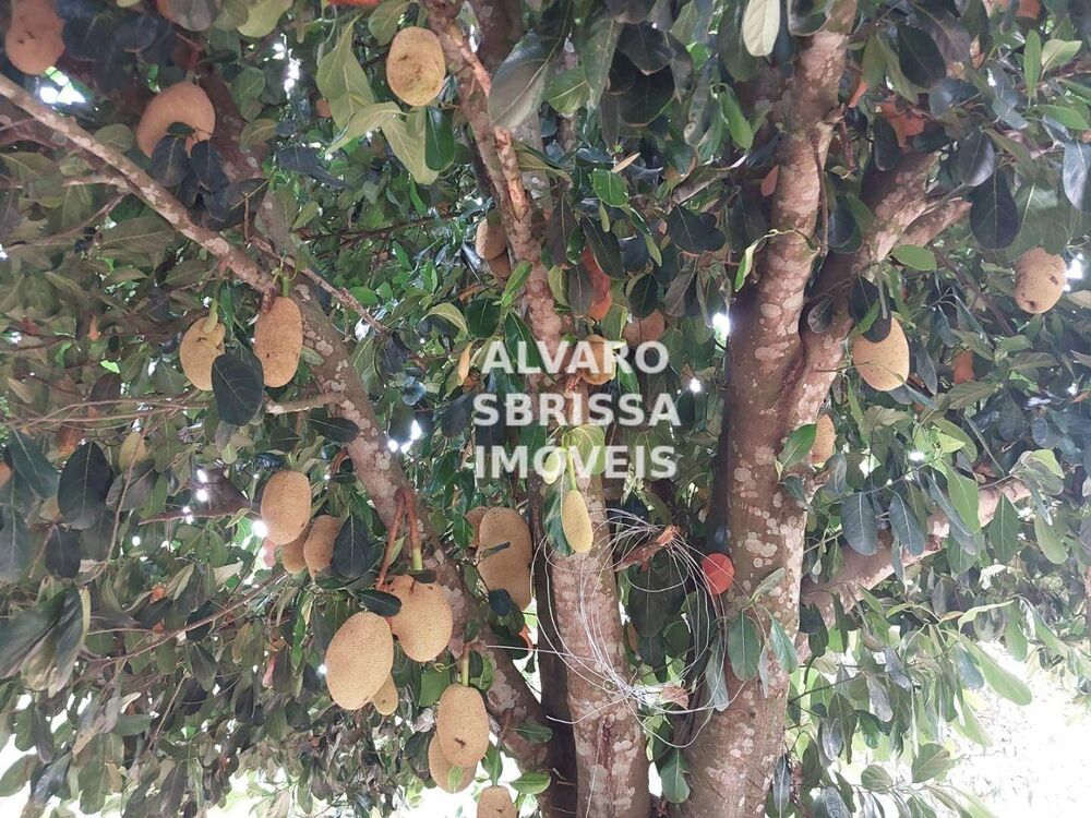 Chácara à venda com 4 quartos, 120m² - Foto 3