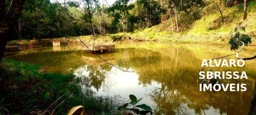 Sítio, 1 quarto, 14 hectares - Foto 4