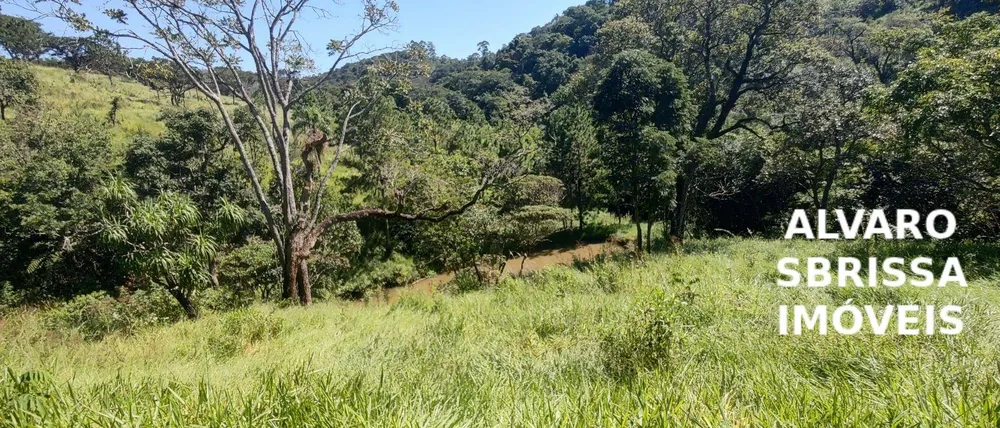 Sítio, 1 quarto, 14 hectares - Foto 6