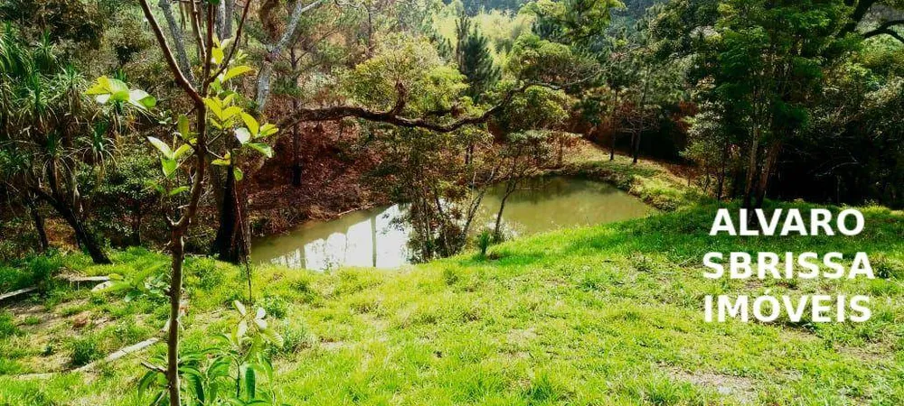 Sítio, 1 quarto, 14 hectares - Foto 3