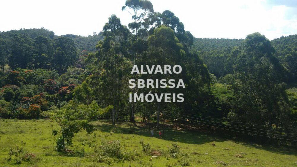 Sítio, 1 quarto, 23 hectares - Foto 4