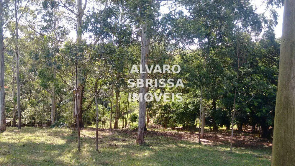 Sítio, 1 quarto, 23 hectares - Foto 7