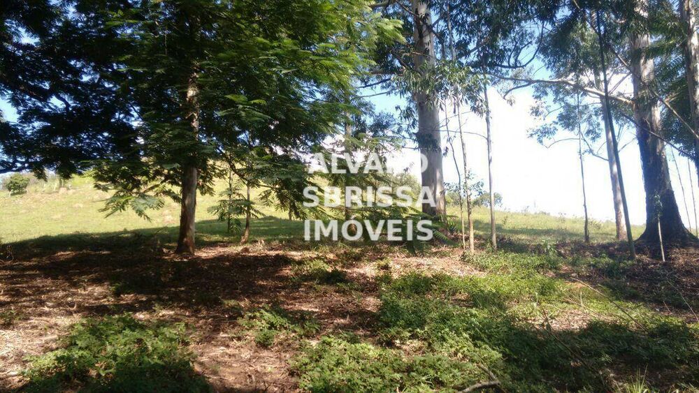 Sítio, 1 quarto, 23 hectares - Foto 3