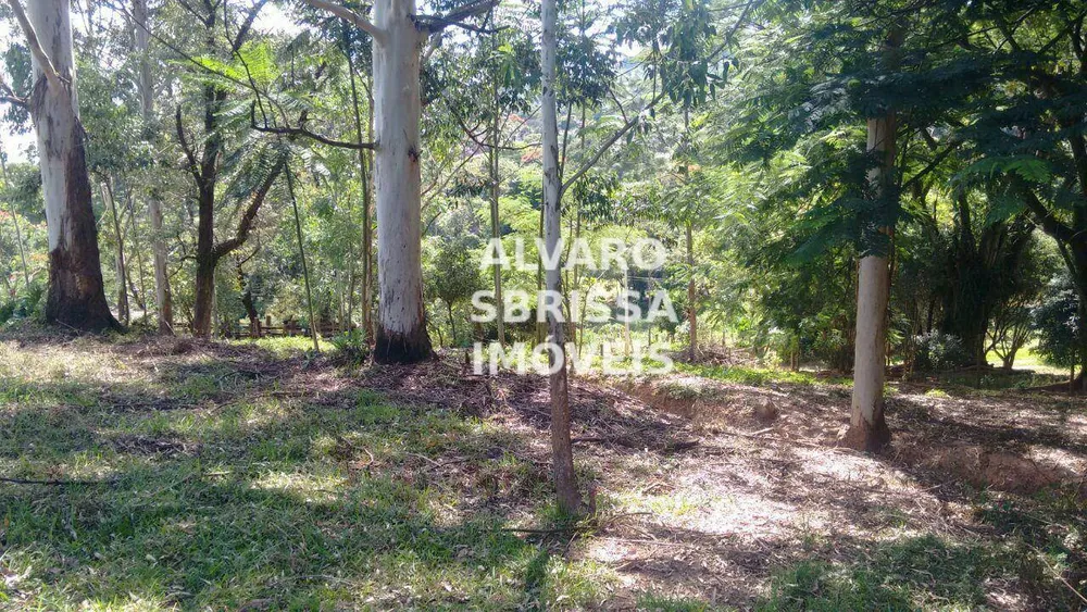Sítio, 1 quarto, 23 hectares - Foto 6