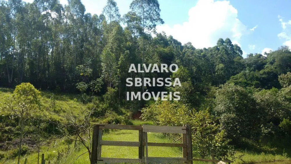 Sítio, 1 quarto, 23 hectares - Foto 5