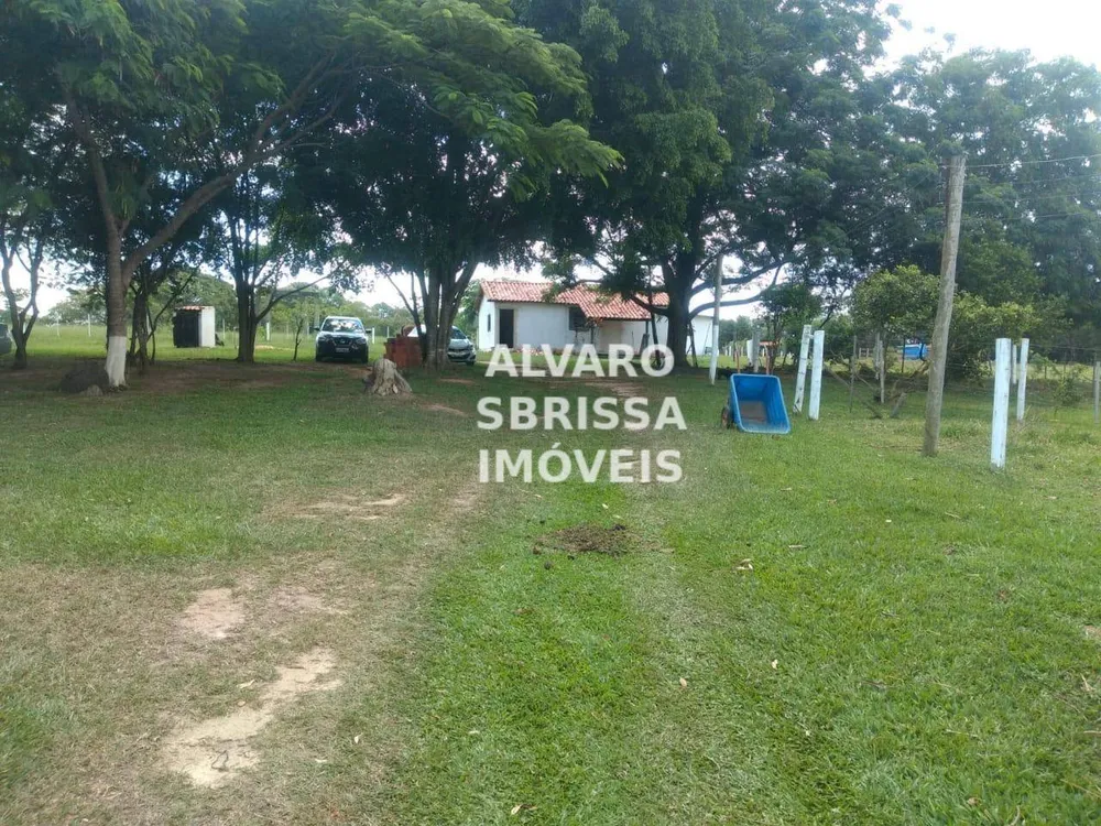 Sítio, 3 quartos, 3 hectares - Foto 10