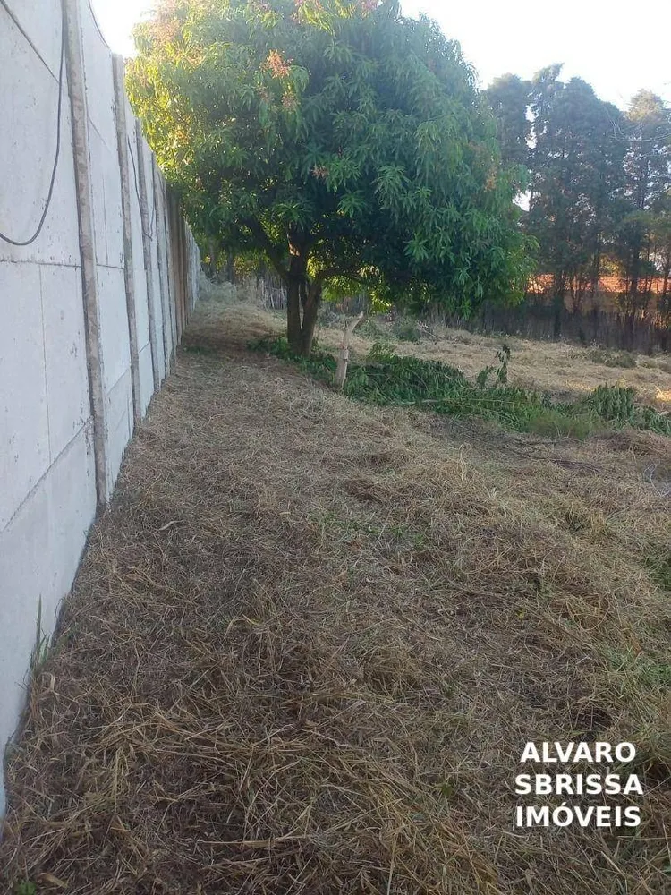 Terreno, 4874 m² - Foto 1
