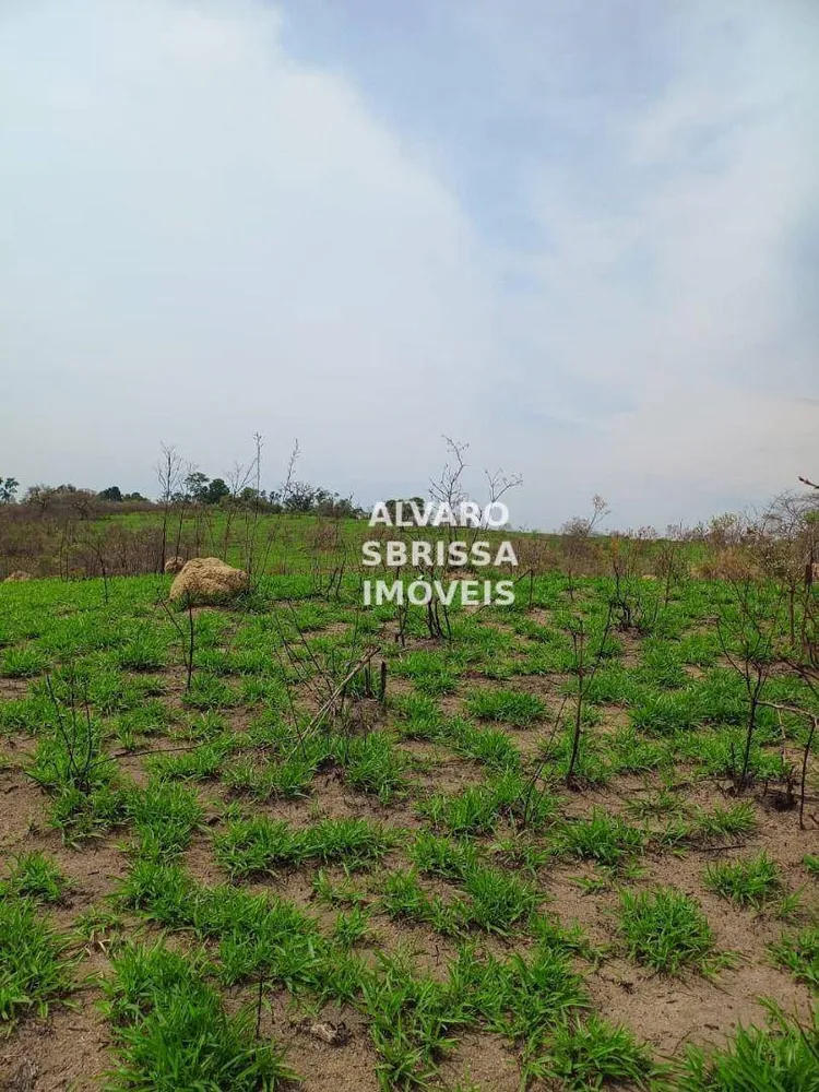 Terreno, 310 hectares - Foto 8