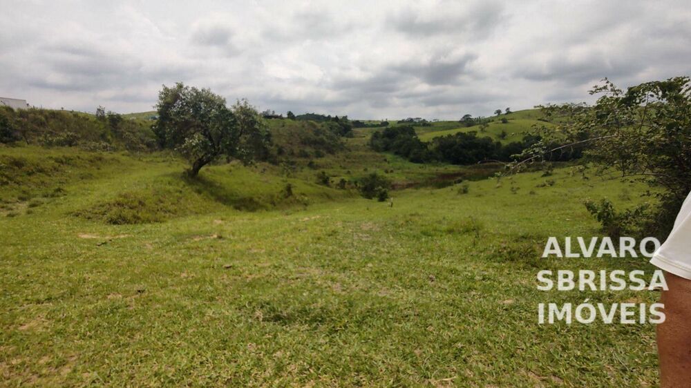 Terreno, 310 hectares - Foto 1