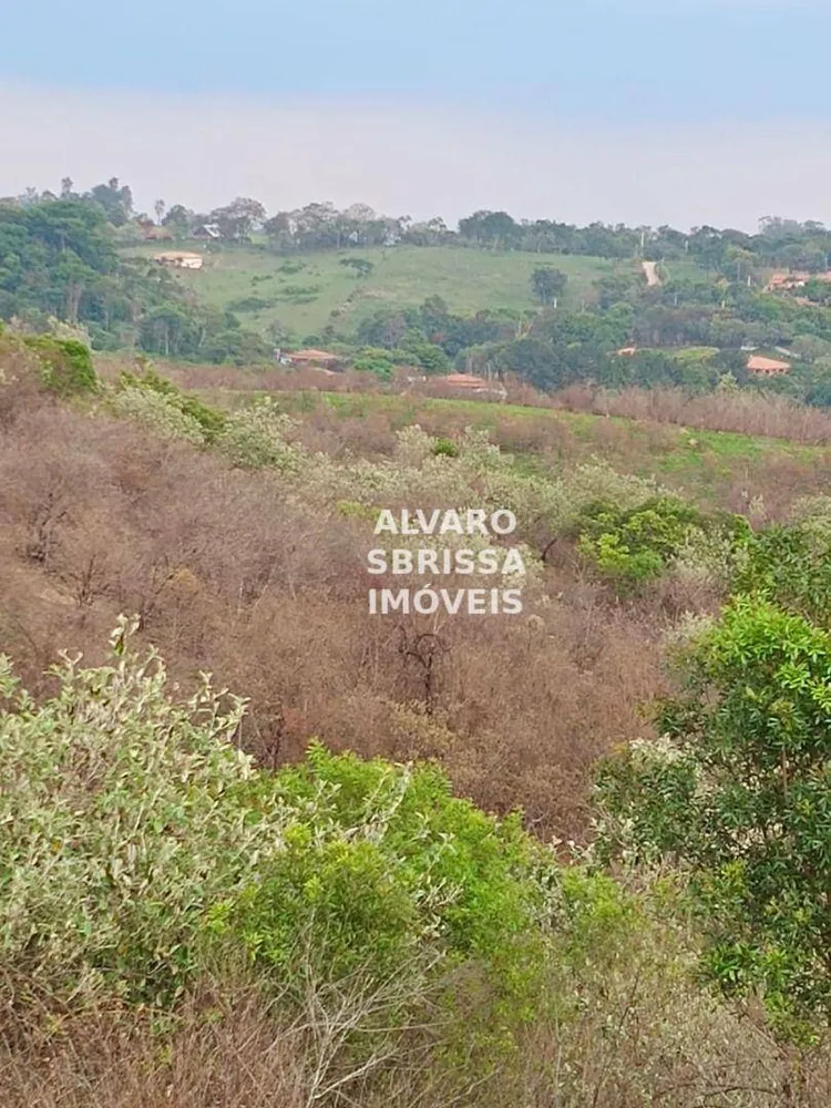Terreno, 310 hectares - Foto 12
