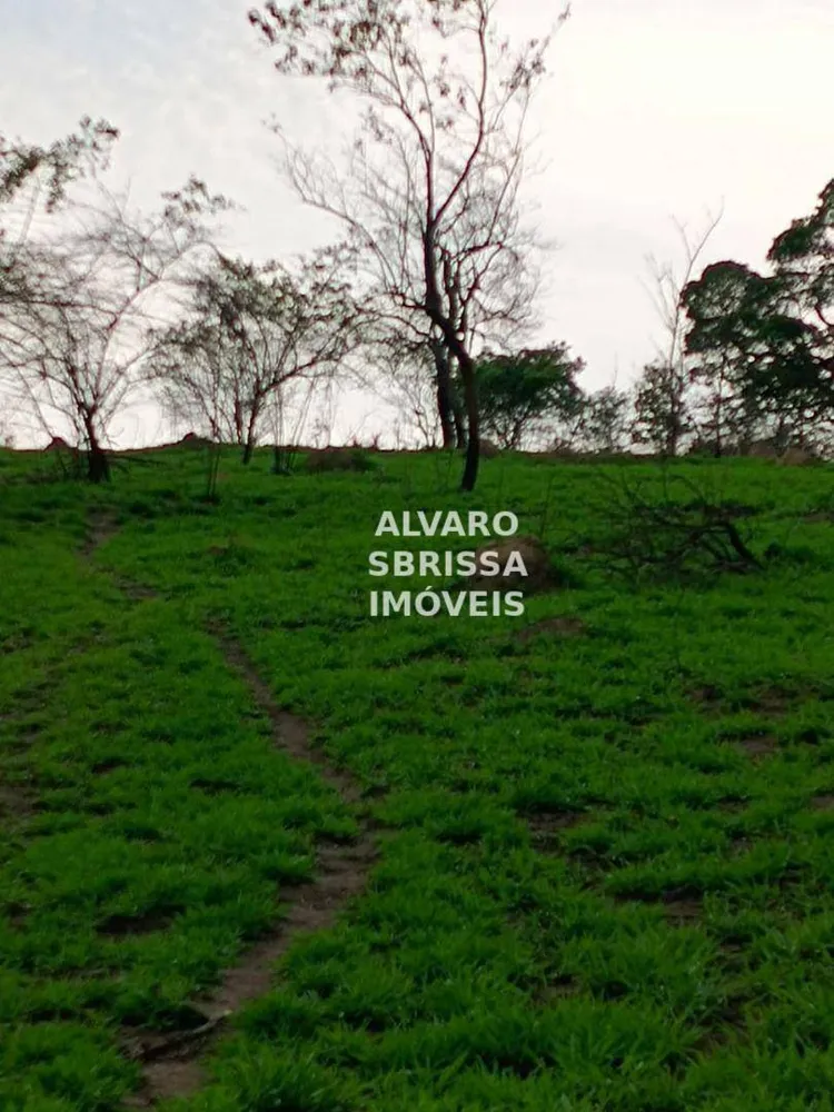 Terreno, 310 hectares - Foto 9