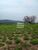 Terreno, 310 hectares - Foto 4