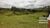 Terreno, 310 hectares - Foto 2