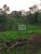 Terreno, 310 hectares - Foto 3