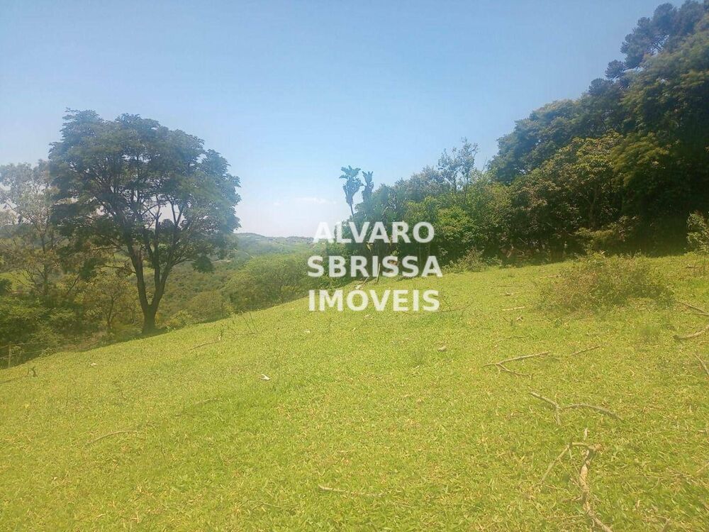 Terreno, 30 hectares - Foto 2