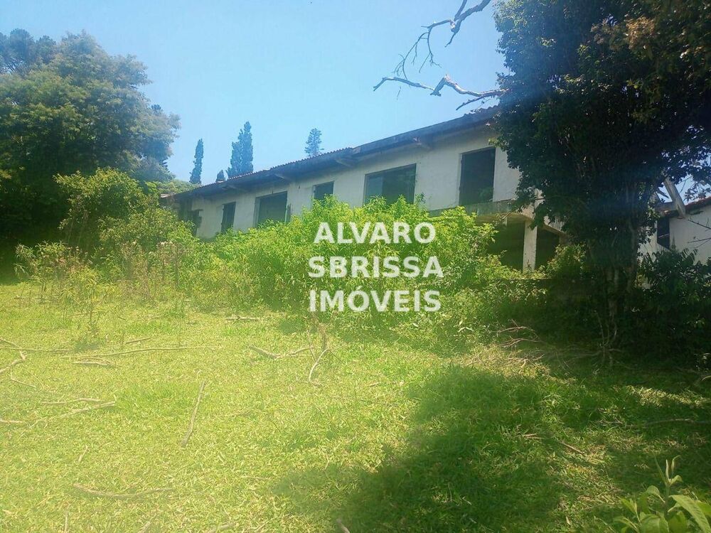 Terreno, 30 hectares - Foto 3