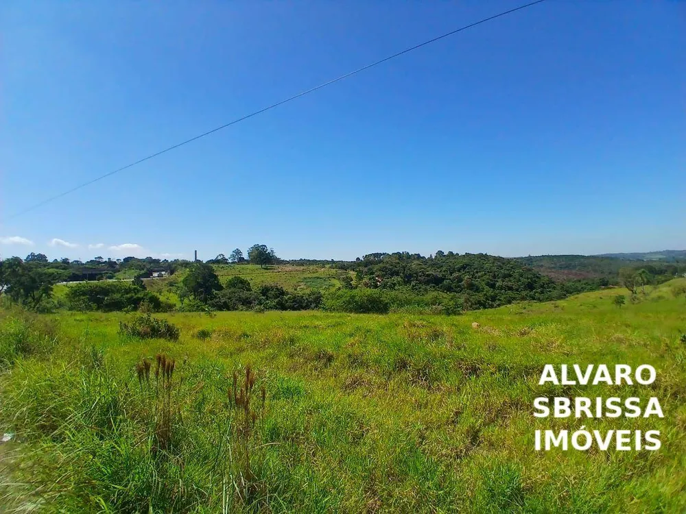Terreno, 5 hectares - Foto 6