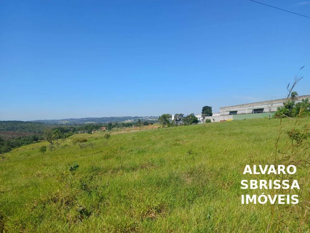 Terreno, 5 hectares - Foto 4