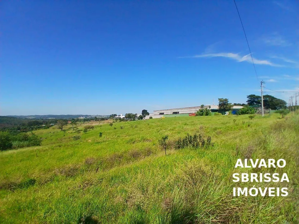Terreno, 5 hectares - Foto 7