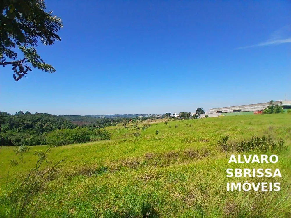 Terreno, 5 hectares - Foto 3
