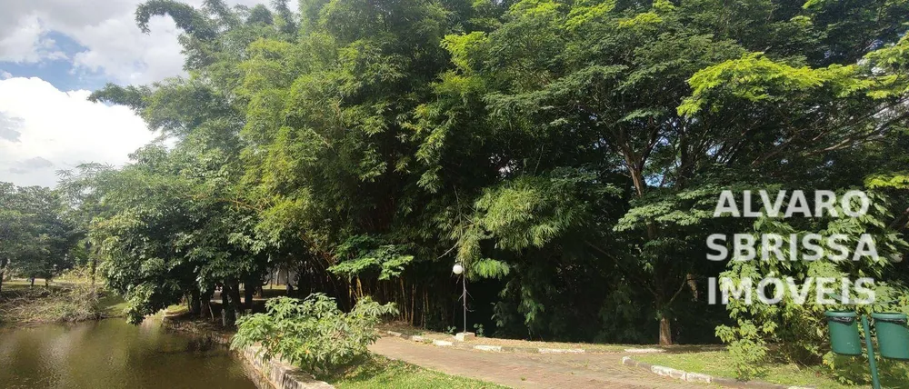 Chácara, 3 quartos, 780 m² - Foto 4