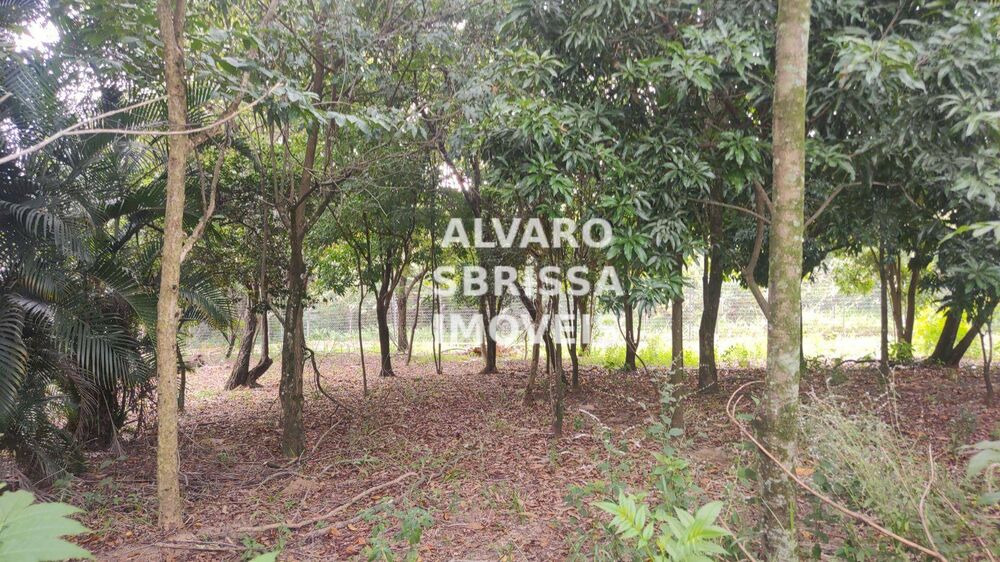 Loteamento e Condomínio, 1157 m² - Foto 8