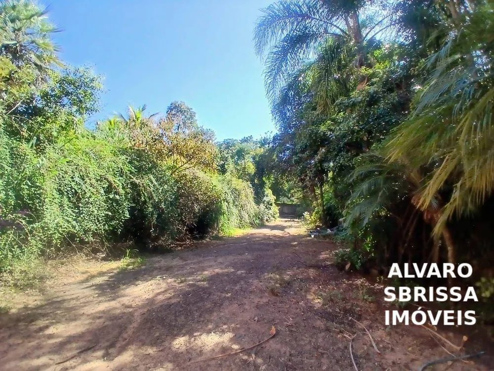 Terreno, 3 hectares - Foto 6