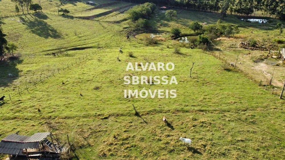 Sítio, 6 quartos, 5 hectares - Foto 8