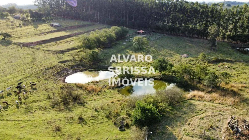 Sítio, 6 quartos, 5 hectares - Foto 3