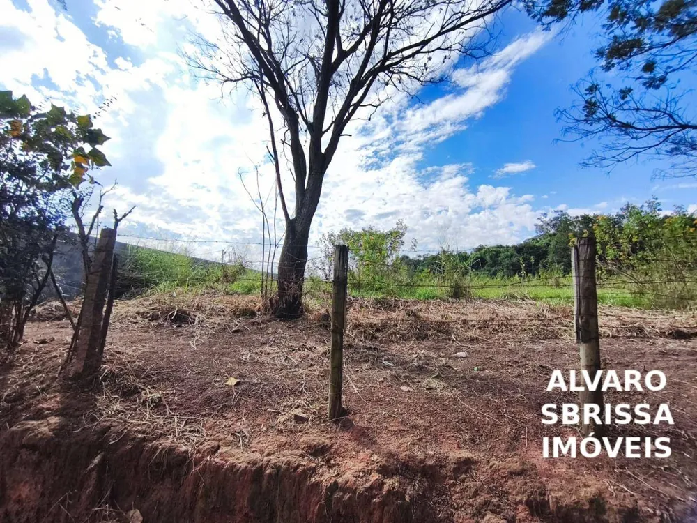 Terreno, 2 hectares - Foto 9