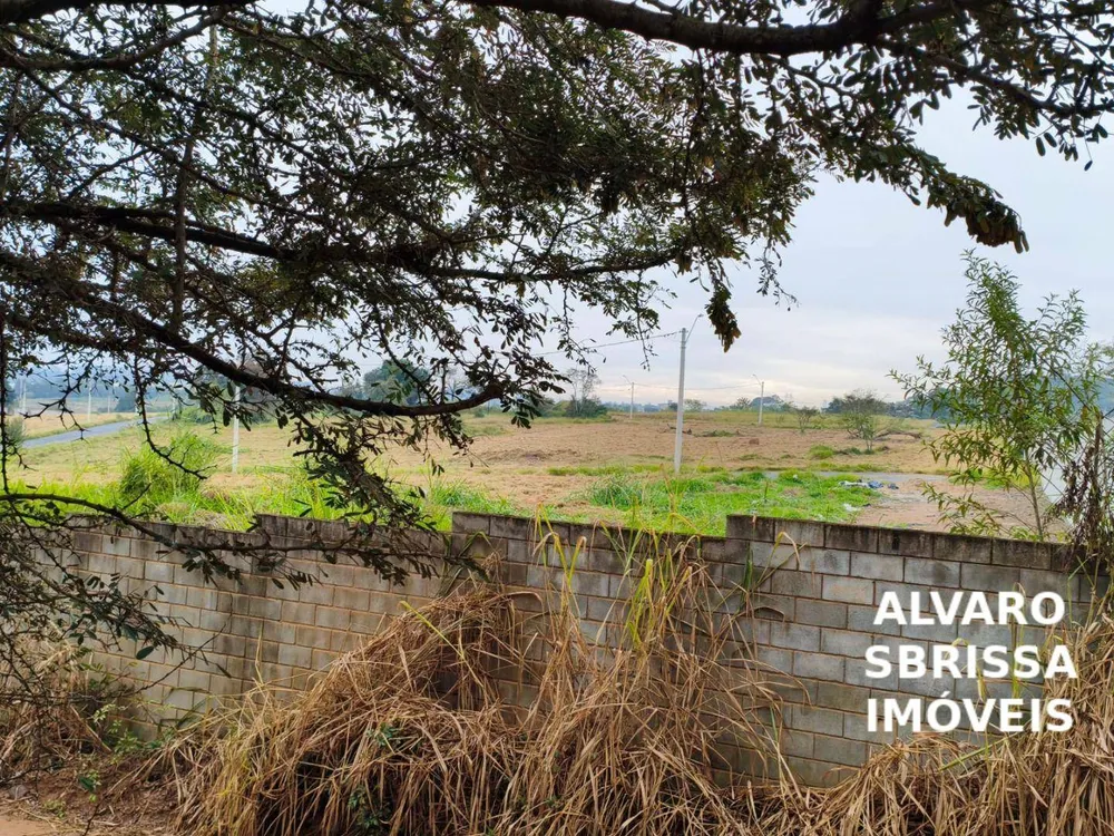 Terreno, 2 hectares - Foto 7