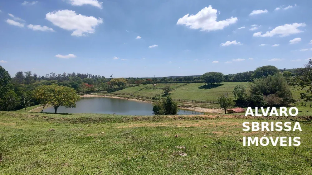 Sítio, 6 quartos, 11 hectares - Foto 3