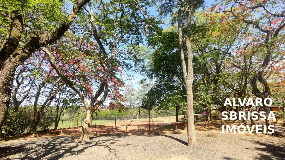 Sítio, 6 quartos, 11 hectares - Foto 4